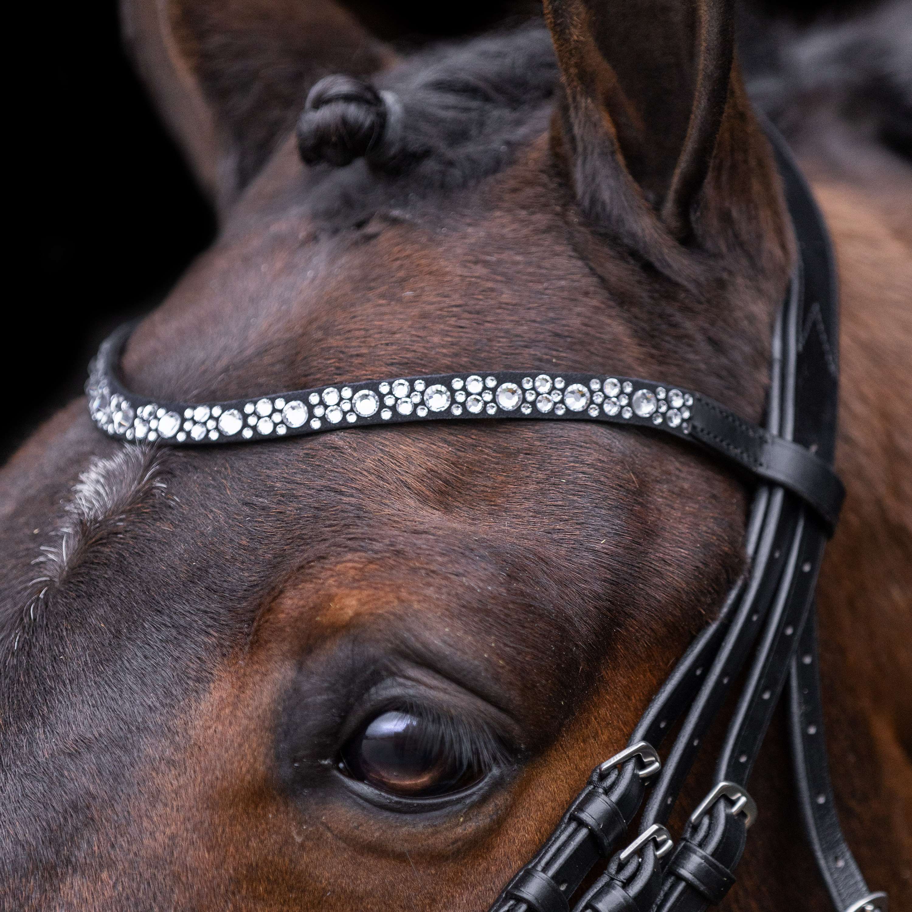 Imperial Riding Hoofdstel IRHOlympia Zwart/Zilver
