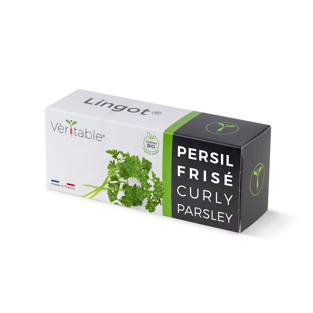Lingot persil frisé bio - recharge prête à l'emploi