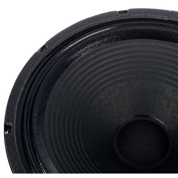 Freytte P50E Guitar Speaker