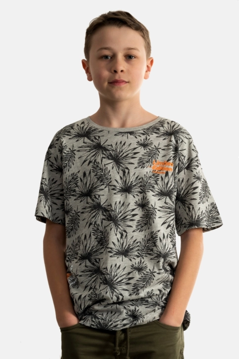 tee shirts manches courtes Le Temps Des Cerises noribo 8002 taupe