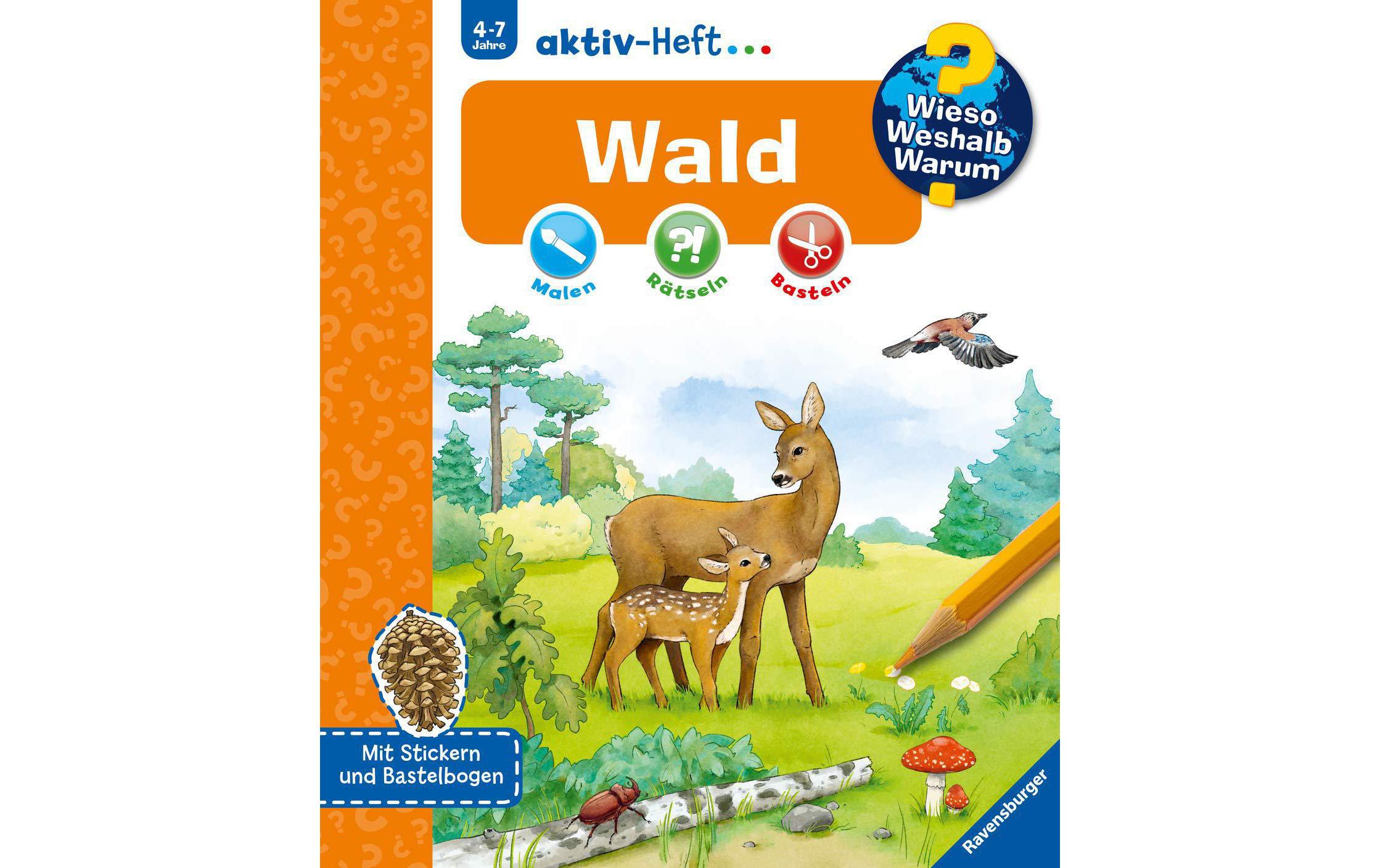 Kinder-Sachbuch WWW aktiv-Heft WaldKompaktes Sachwissen für Tier- und Naturfreunde