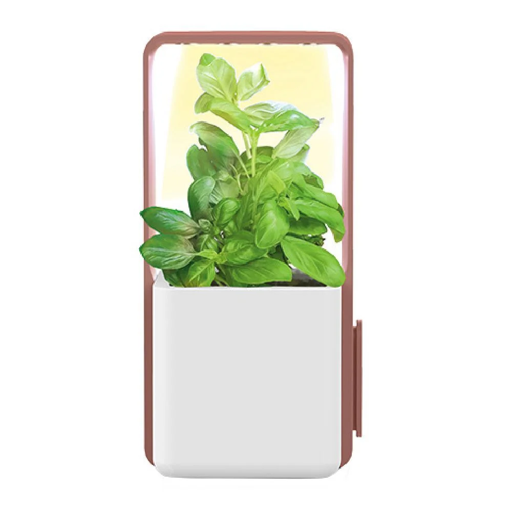 Potager intérieur clipsable avec kit de démarrage