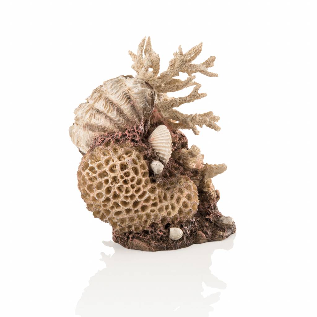 BiOrb Koraal & Schelpen Naturel ornament