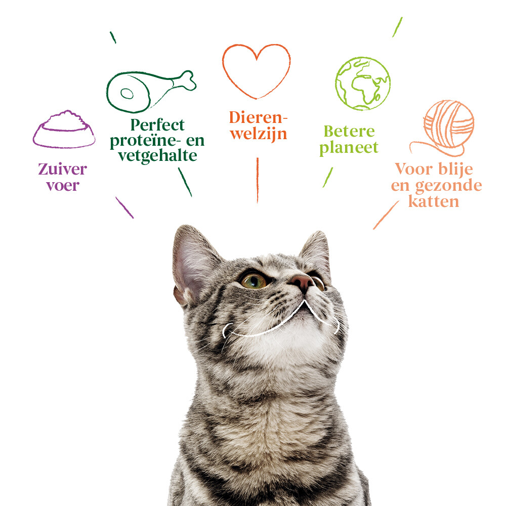 14x Yarrah Bio Kattenvoer Kip85 gr