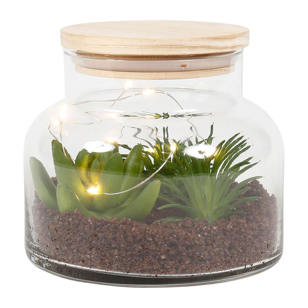Terrarium décoratif lumineux 12x10x12cm