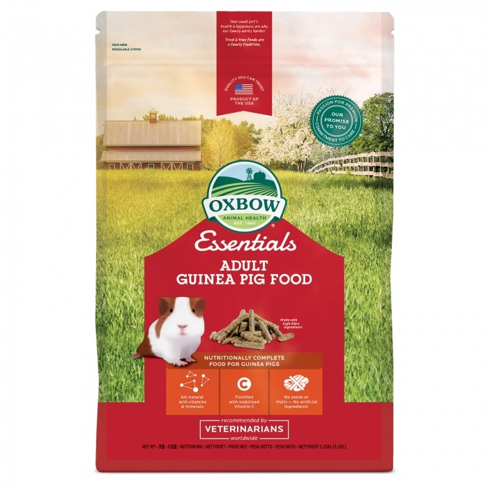 Cavy Cuisine Adulte