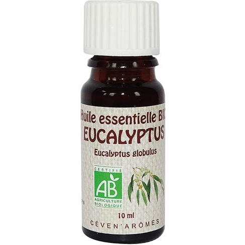 Huile essentielle 10 ml Eucalyptus - Bio