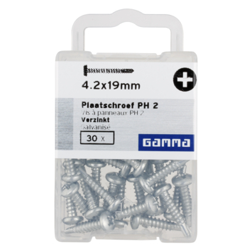 Plaatschroef Zelfborend cilinderkop verzinkt 4,2X19 mm 30 stuks