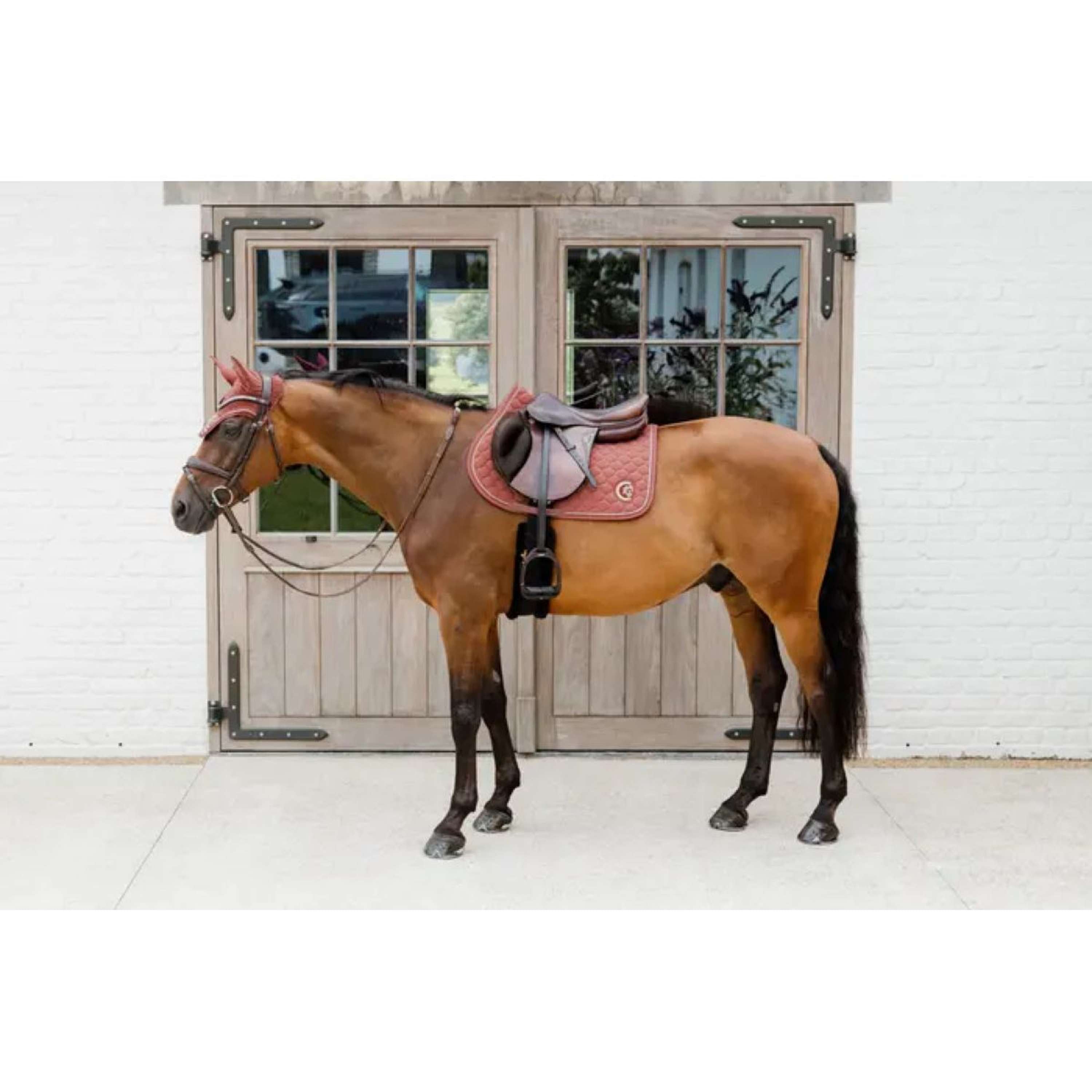 Kentucky Horsewear Oornetje Wellington 3D Logo Fuchisa