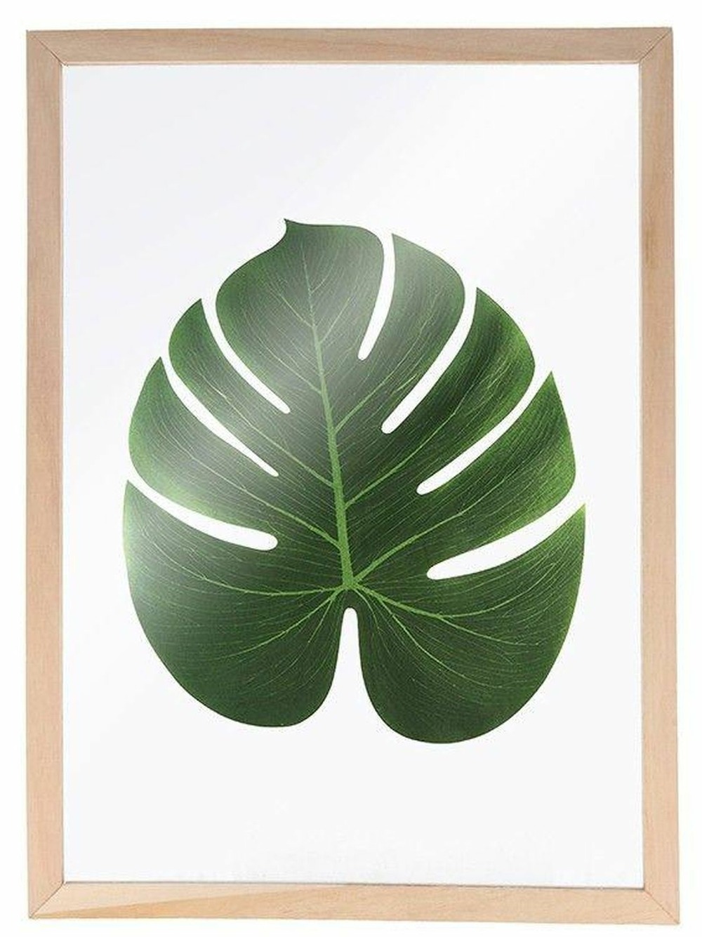 3 cadres en bois pour herbier a4