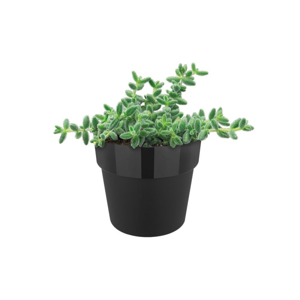 PLASTPOTTE ELHO B.FOR ORIGINAL Ø11CM SVART