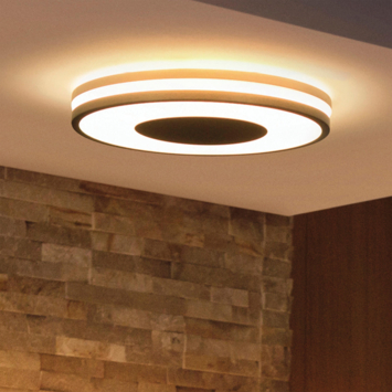 Philips Hue plafondlamp Being zwart  - wam tot koelwit licht 22.5W - met 1 dimmer switch