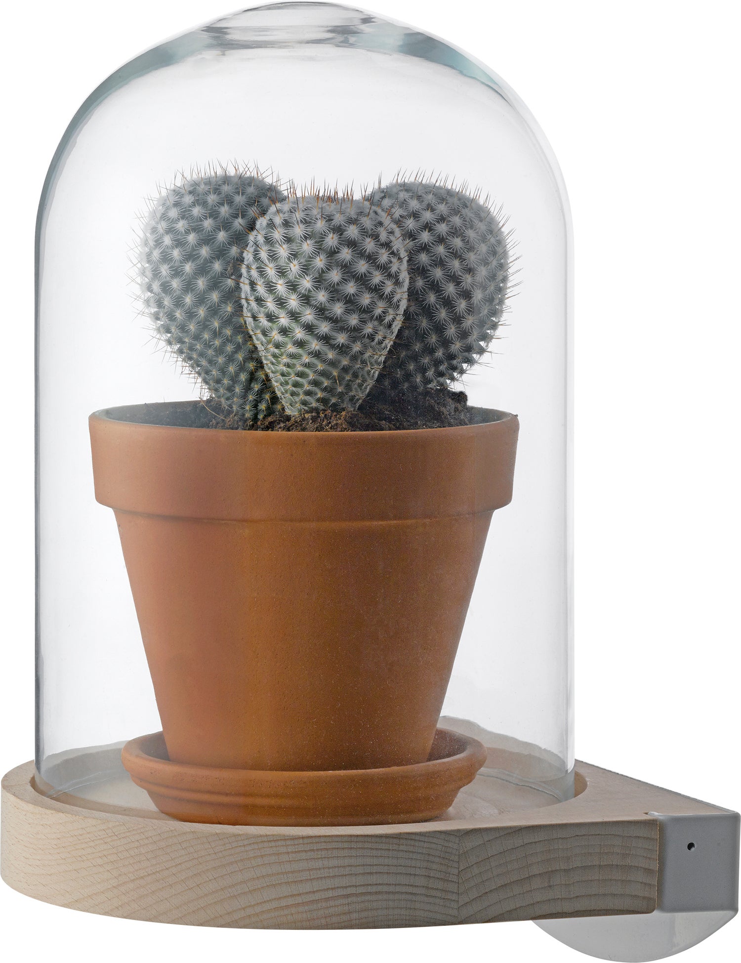 Intratuin wandstolp transparant D 21 H 29 cm
