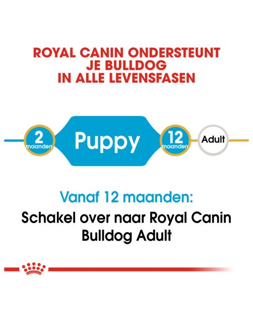 Royal Canin Bulldog - Puppy-Hondenvoer
