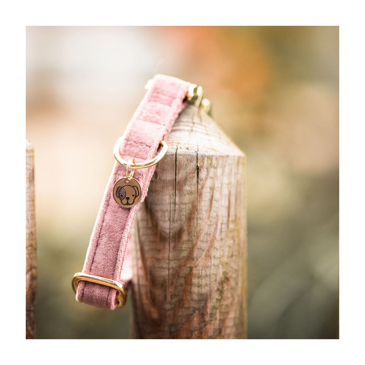 KENTUCKY DOGWEAR Hundehalsband Velvet  - old rose