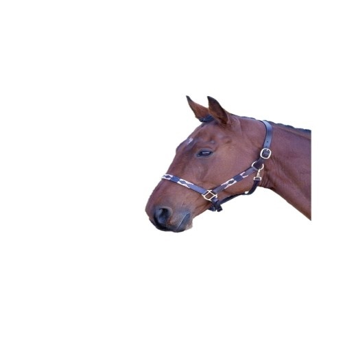 Cabresto de couro multicolorido Blenheim para cavalos