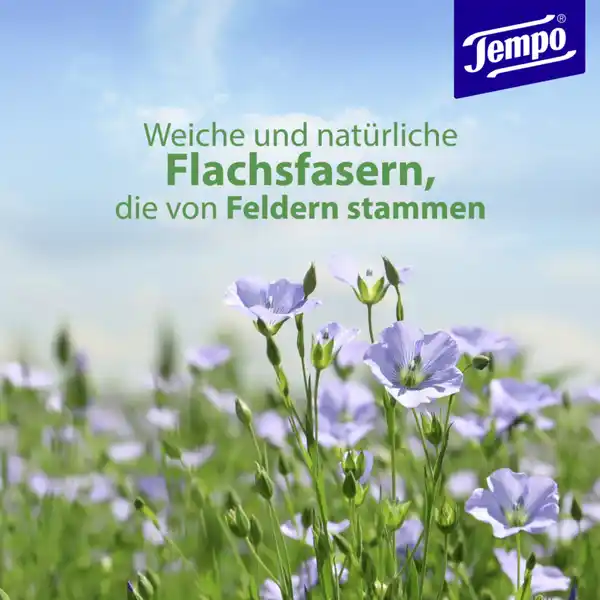 Feuchte Toilettentücher Tropical Morning