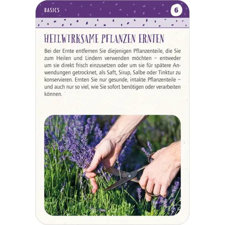 moses. Blatt & Blüte Heilsame Pflanzen - 50 Tipps