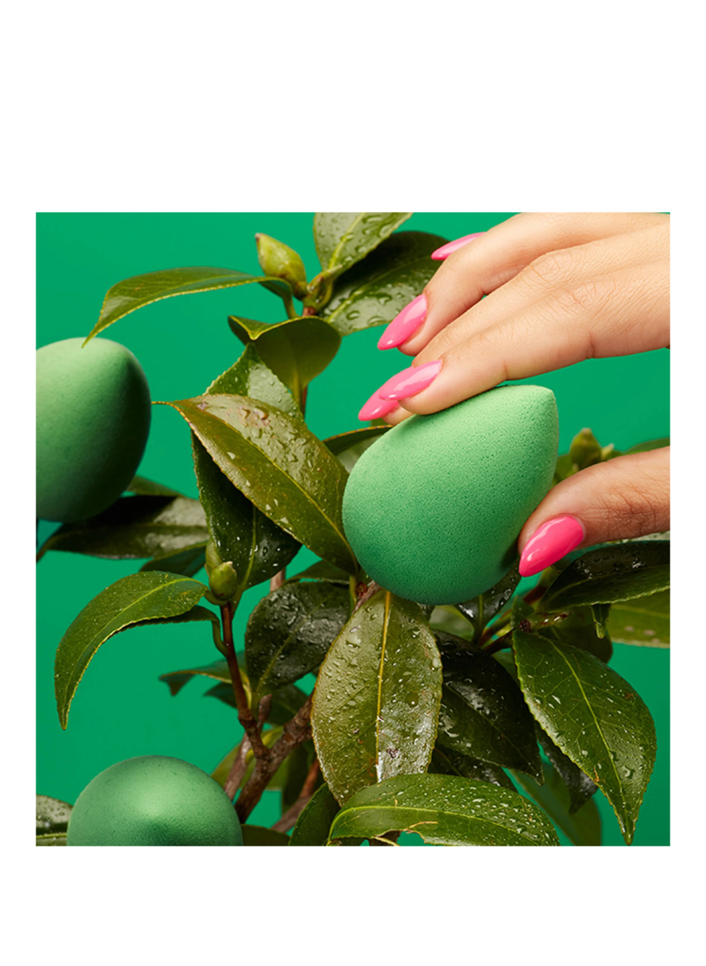 the original beautyblender BEAUTYBLENDER® BIO PURE