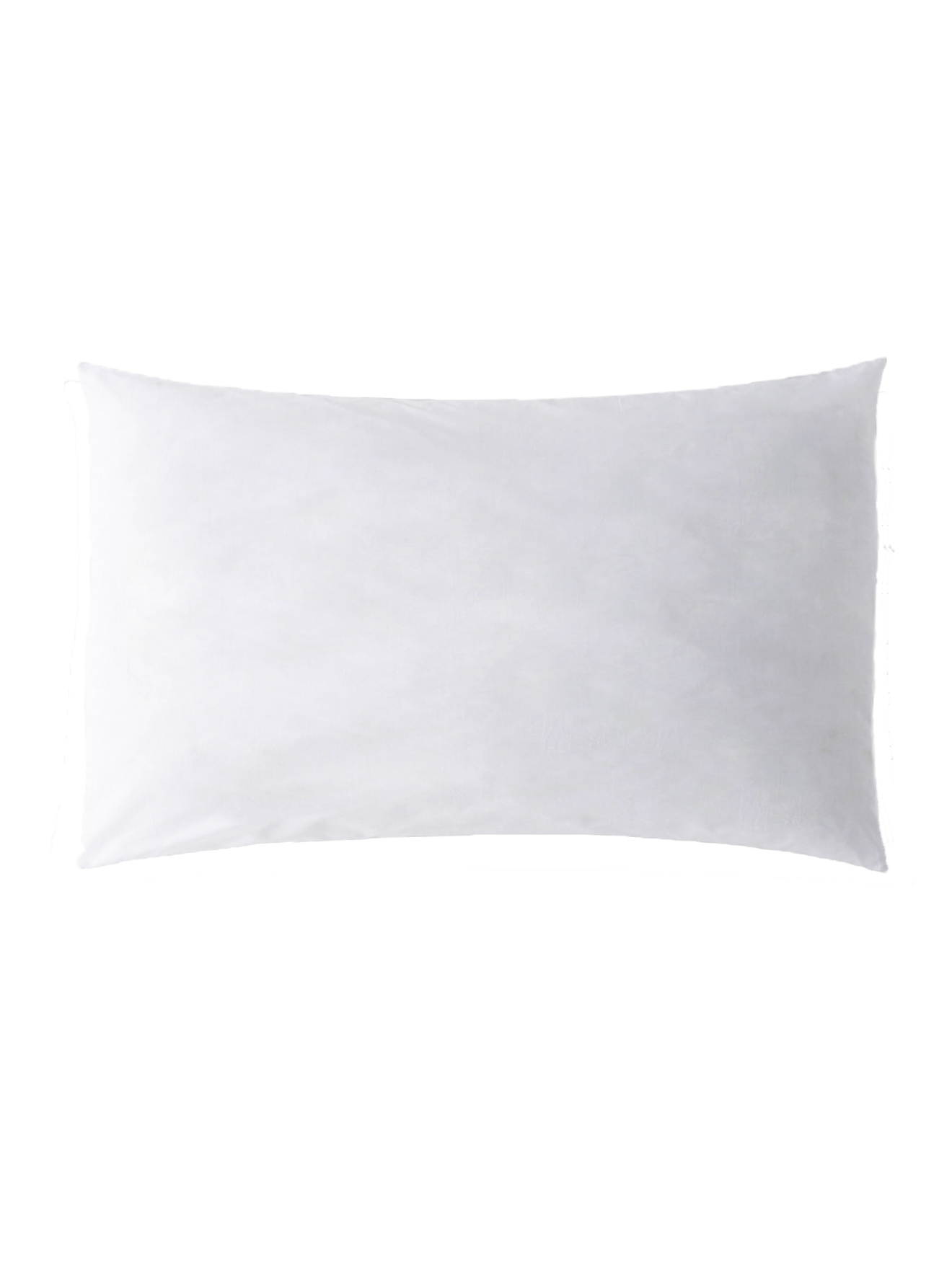 Oreiller plumes antitache
