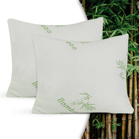2-PACK Hoofdkussens - Bamboe