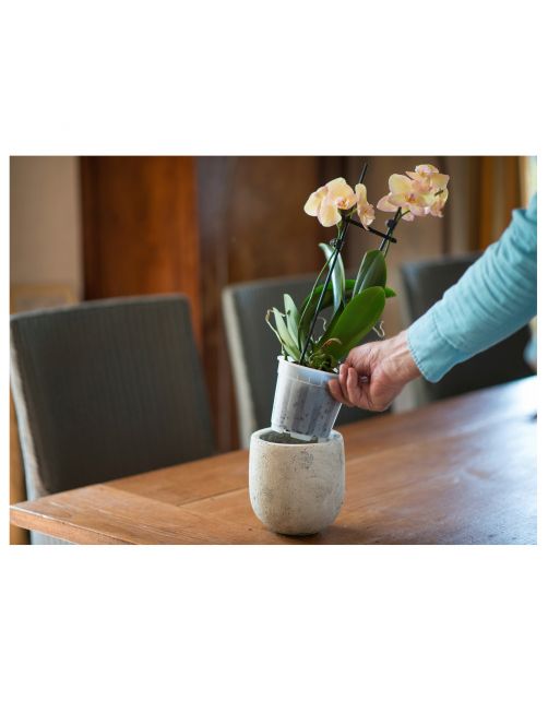 Nature Orchidee Pot Transparant Ø13cm - Kweekbenodigdheden - Ø13 cm Transparant