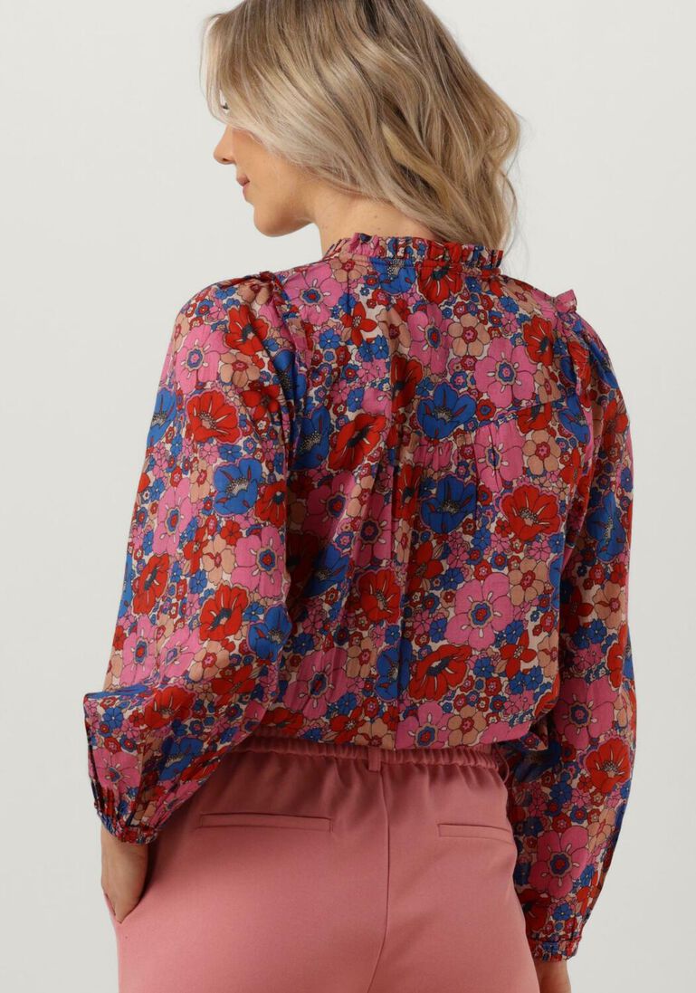 MOLIIN roze moliin blouse violet
