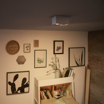 Philips Opbouwspot MyLiving Box LED Wit 2 x 4.5W