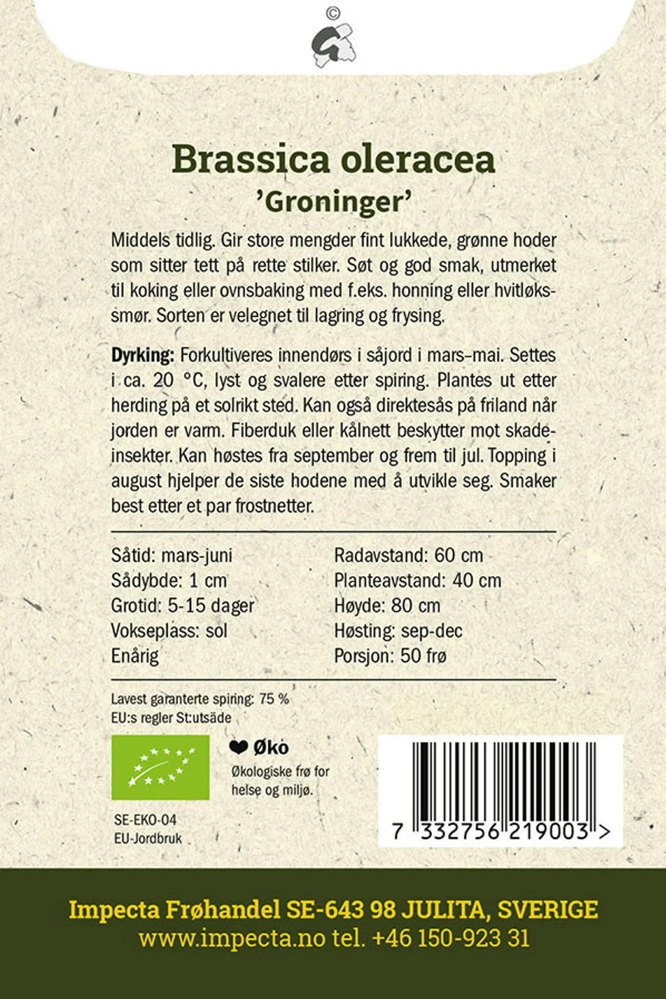 Brassica oleracea 'Groninger' Rosenkål 'Groninger'