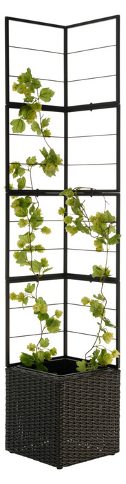 Blomsterkrukke med espalier 31 x 31 x 165 cm rattan