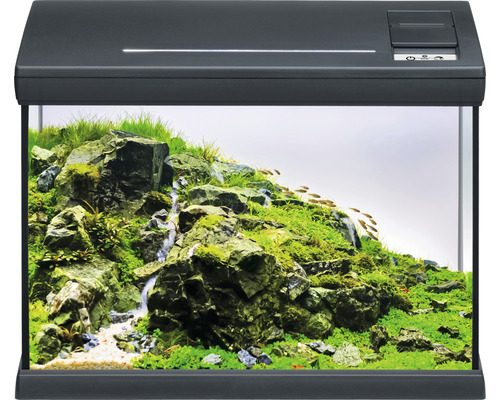 EHEIM aquaclass 30 aquarium inclusief verlichting, verwarming, filter, thermometer, 41,5 x 25,5 x 28 cm, antraciet