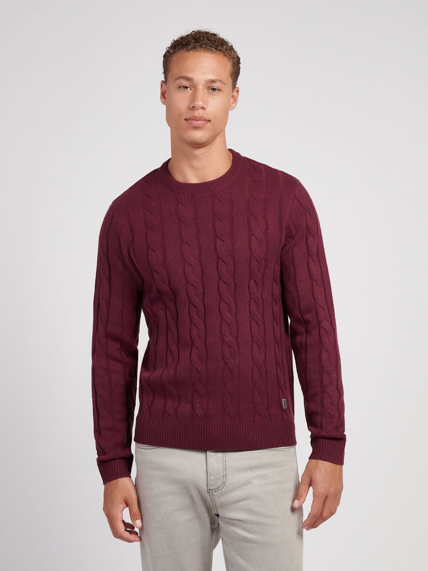 Paars - U.S. Polo Assn. Mens Cable Knit Crew Jumper