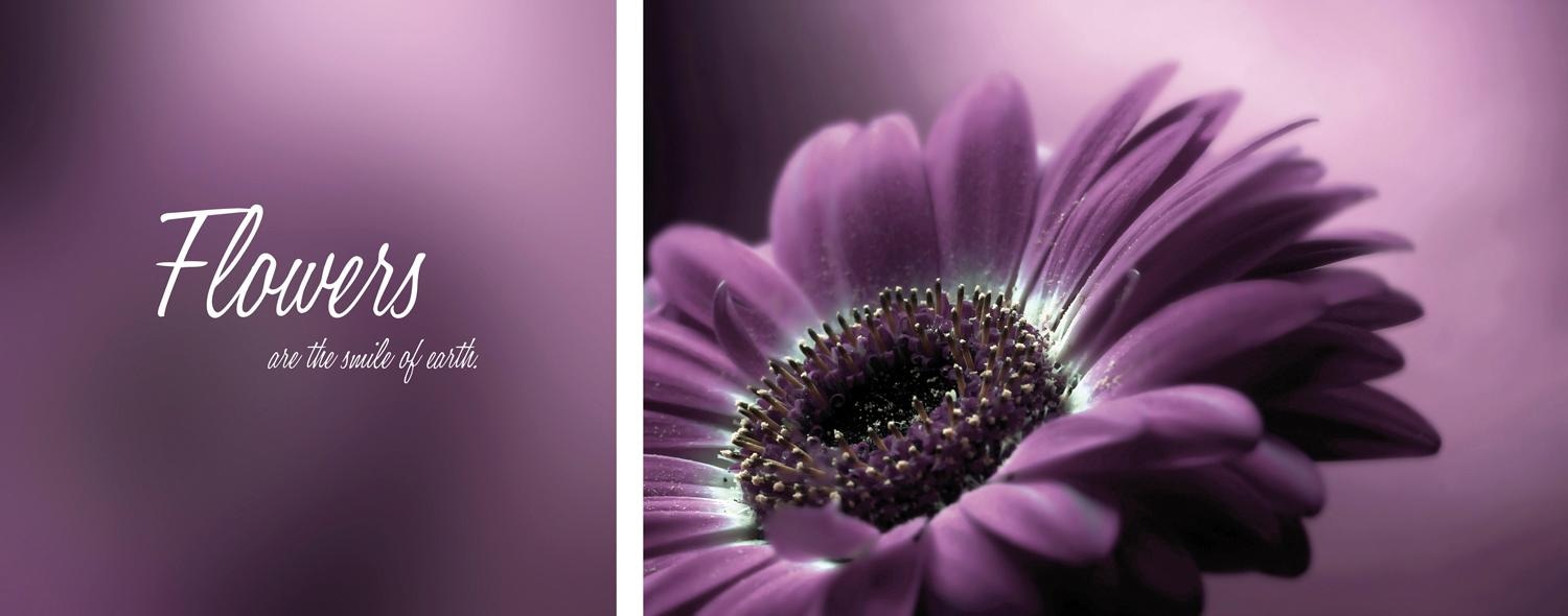 queence Leinwandbild »Flower« Blumen | Blumenbilder | Kunst | Modern | Schriftzug | Schriftzüge | Spa | Spa Bilder | Sprüche | Sprüche & Texte Set,  Premium-Leinwandstoff, Handarbeit aus Deutschland, Spruch, 2er Set