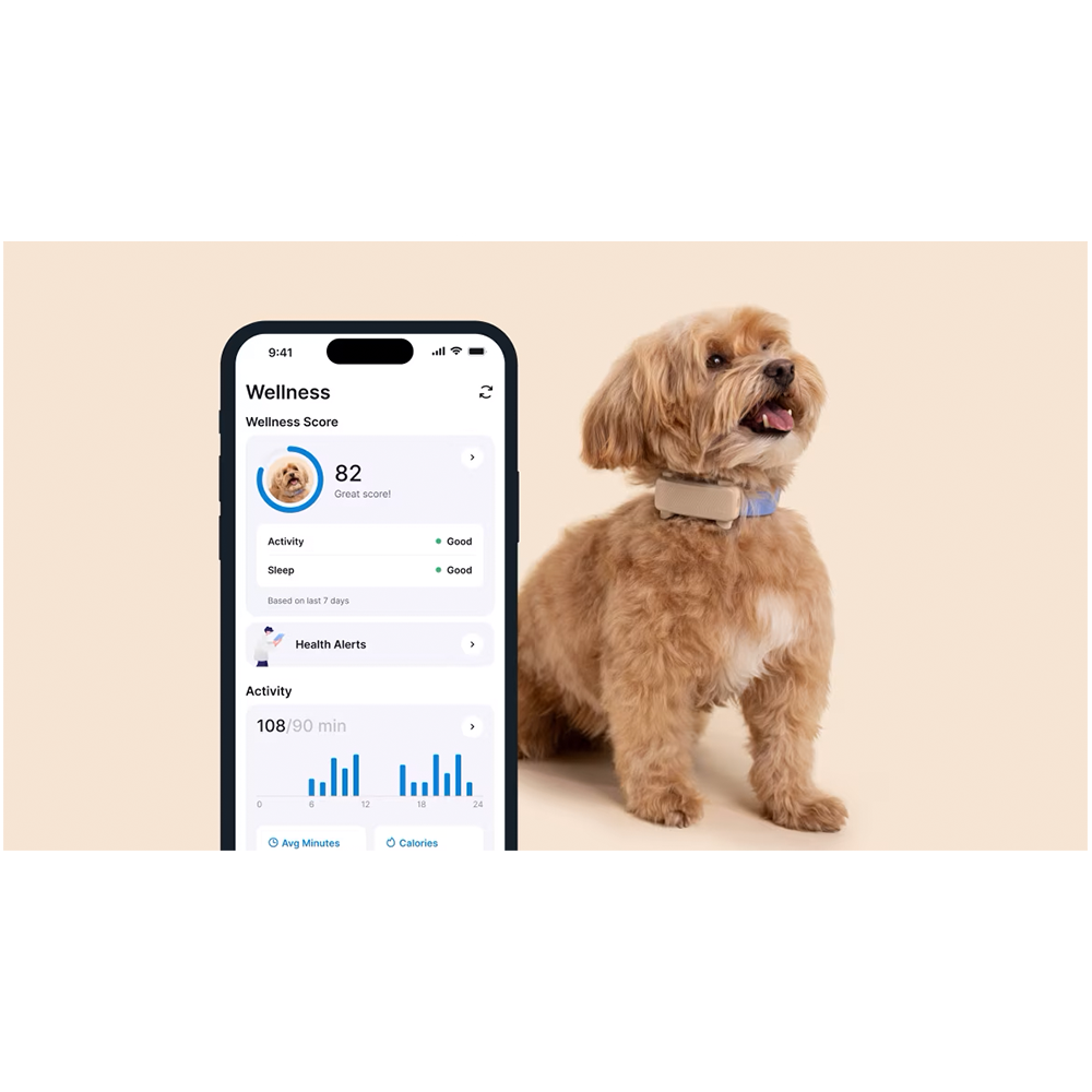 GPS DOG 6 Pet Tracker für Hunde mit Live Ortung und Aktivitäts Tracking iOS/Android (TRDOG6BR) - Braun