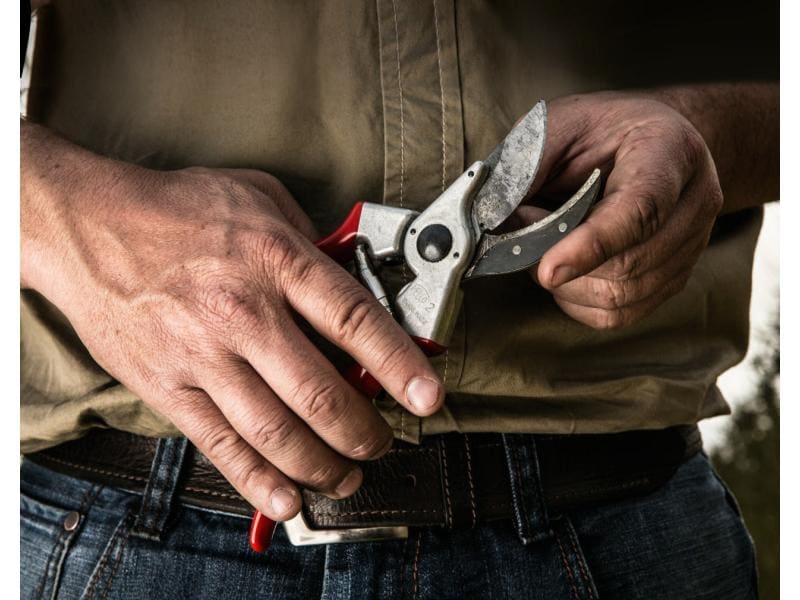 Felco Gartenschere 2 Der Helfer für die Gartenpflege