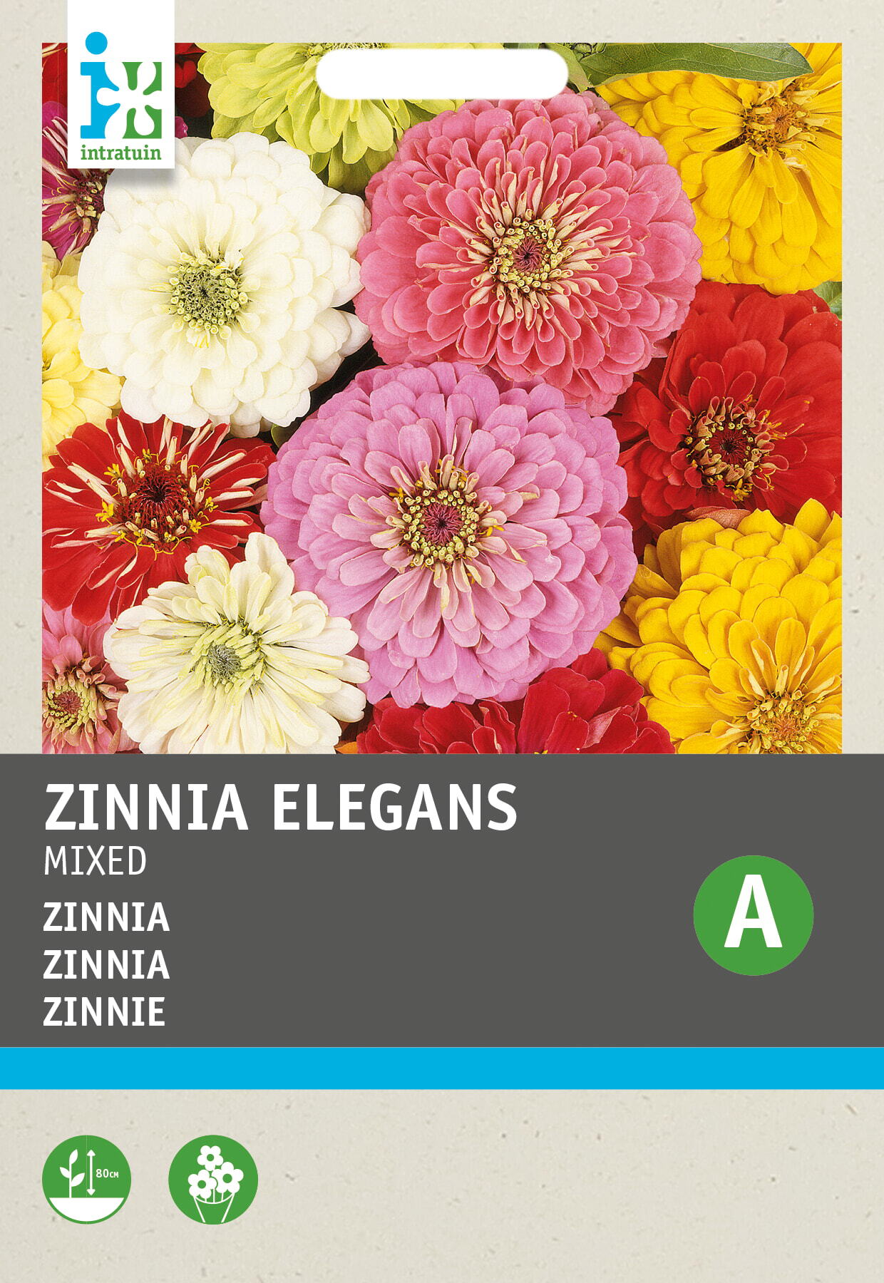 Intratuin bloemenzaad Zinnia dahliabloemig (Zinnia elegans)