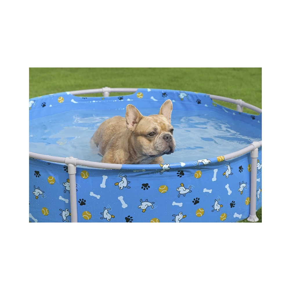 Bestway Fetchin' Fun Pool für Haustiere