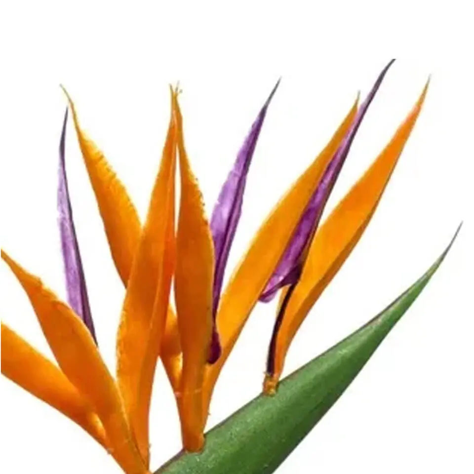 Emerald Kunstbloem Strelitzia - 65 cm - tak - Paradijsvogelplant