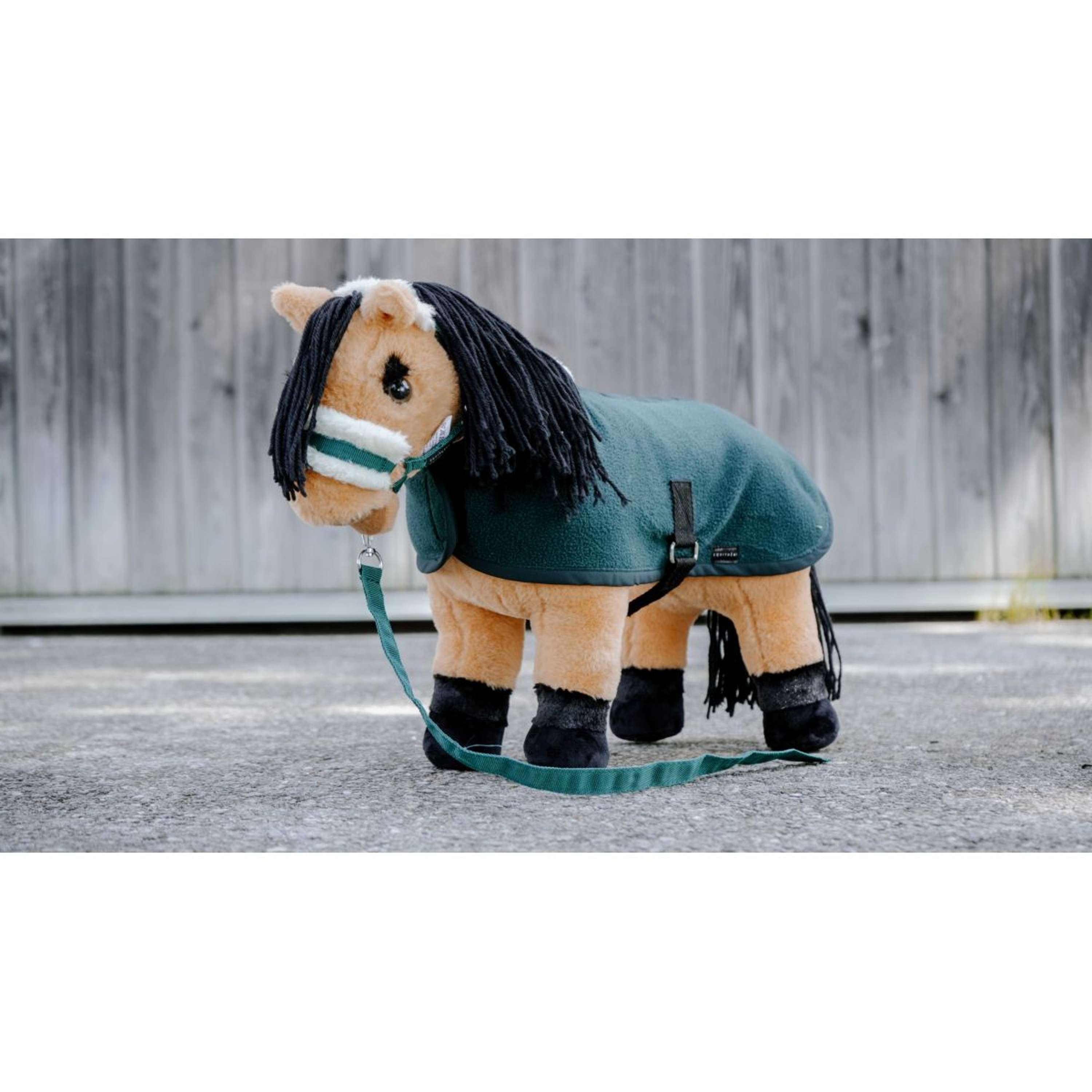 EQUITHÈME Halsterset Pony Academy Donker Groen