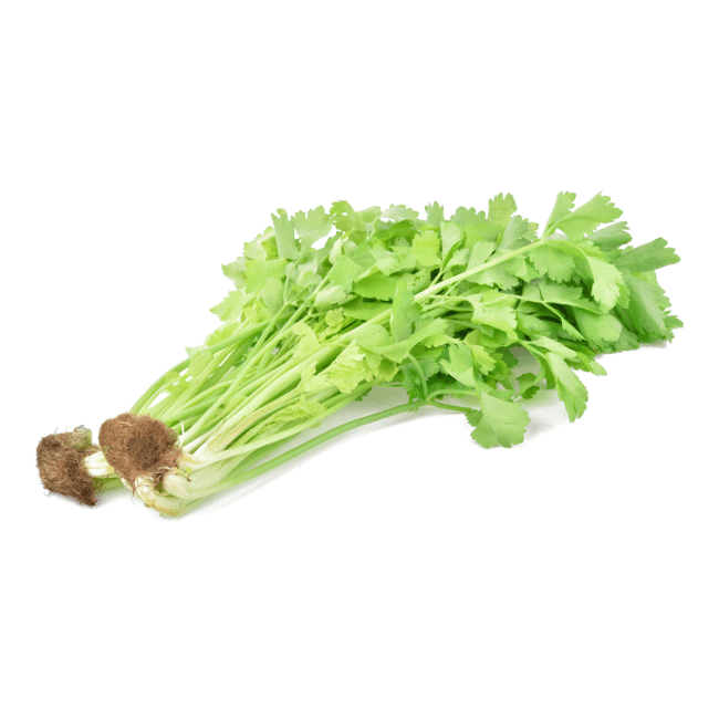 Dag Vers Chinese Selderij 500g