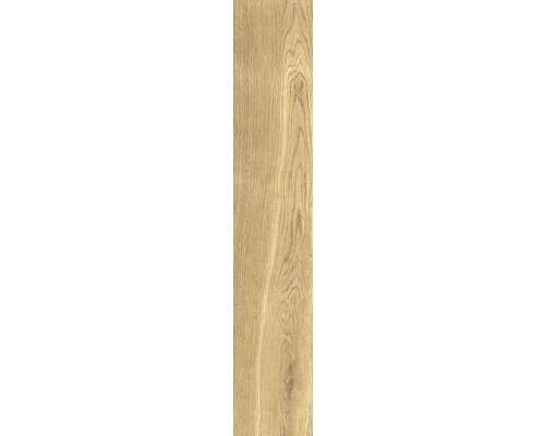 Porseleinen wand- en vloertegel Giornota Oro 11 x 60 x 0,8 cm mat