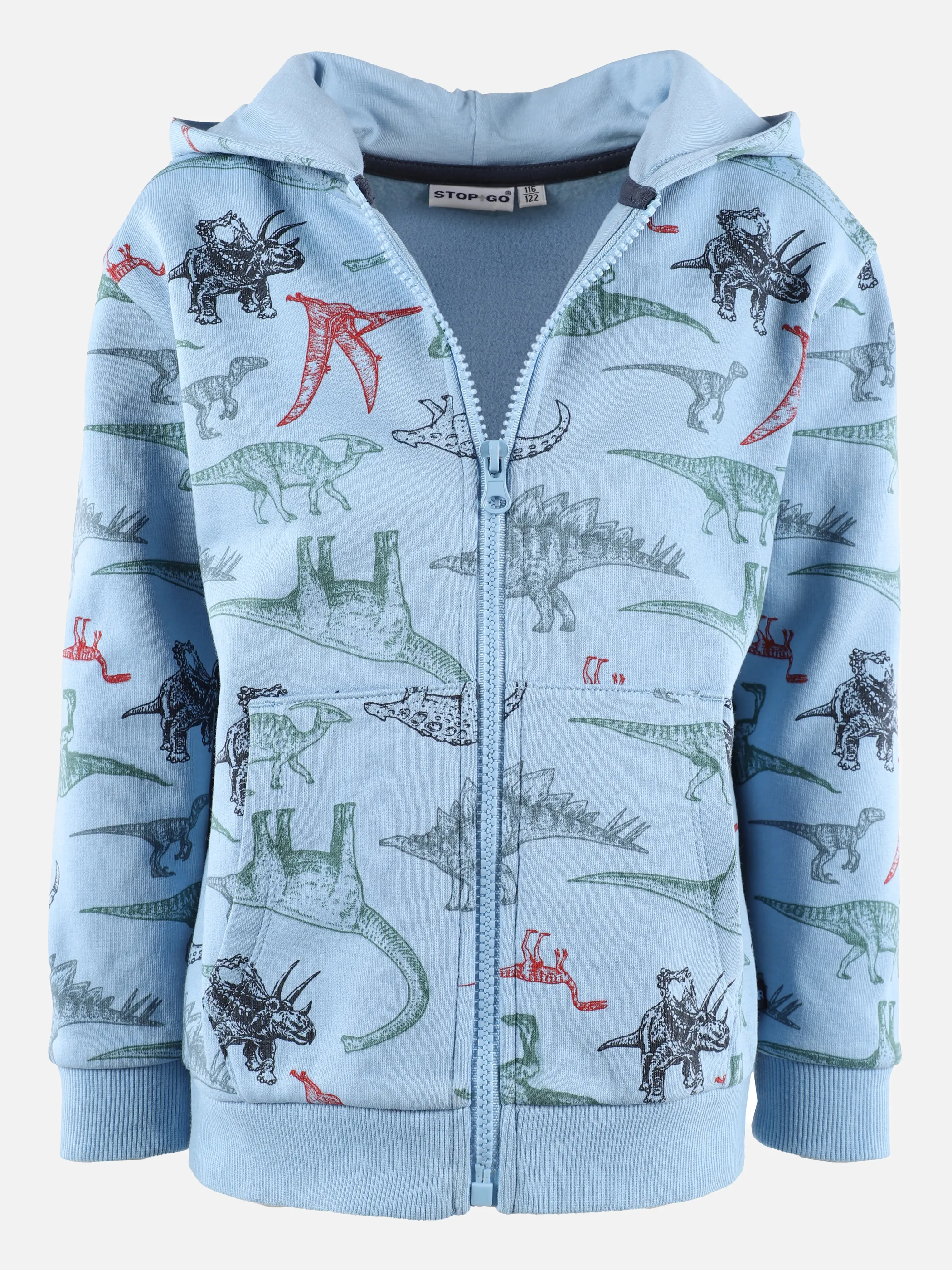 Jungen Hoodie mit Kapuze und Dinoprint