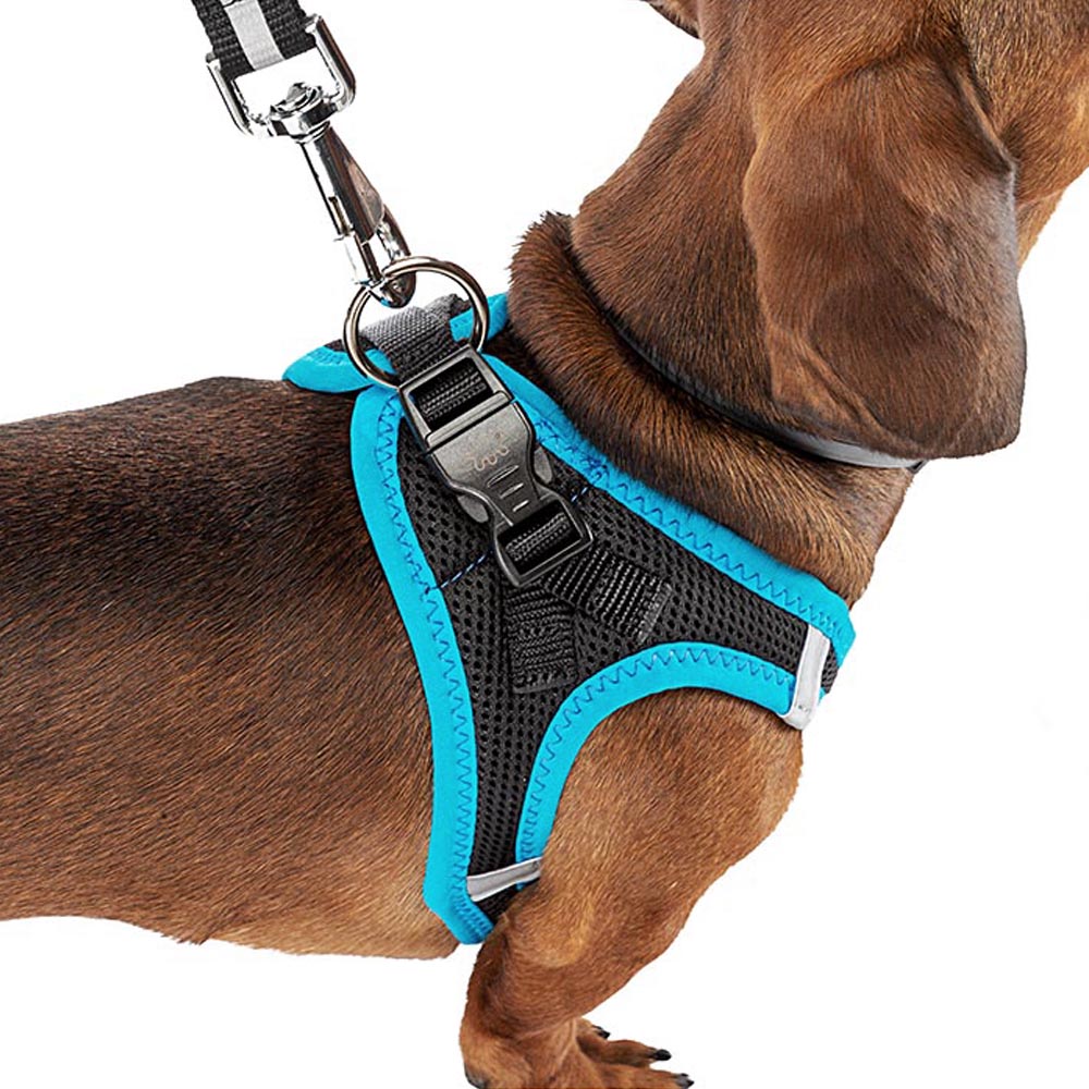 Harnais pour chiens kaori m en nylon respirant, rembourré et réfléchissant