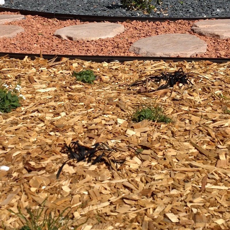 Paillage mulch végétal plaquette forestière 10 sacs 50 l pour 10m2