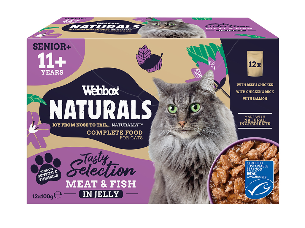 COMIDA HÚMIDA GATO WEBBOX SÉNIOR 11  12X100G