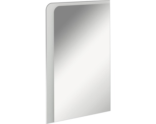 LED badkamerspiegelelement FACKELMANN Milano 55x80 cm 11,8 W
