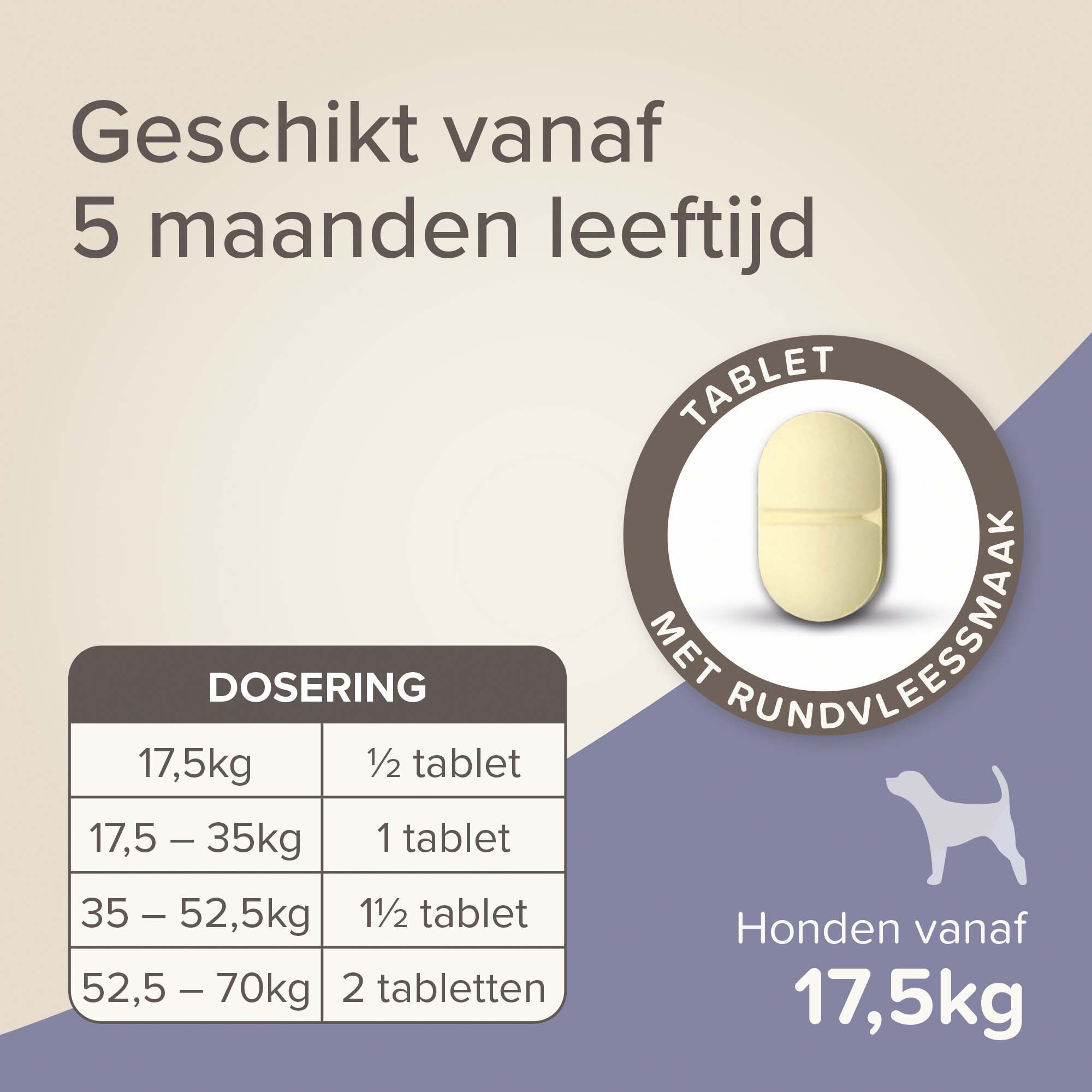 Beaphar All-in-one Tabletten - Ontwormen Hond - 2 Stuks - L