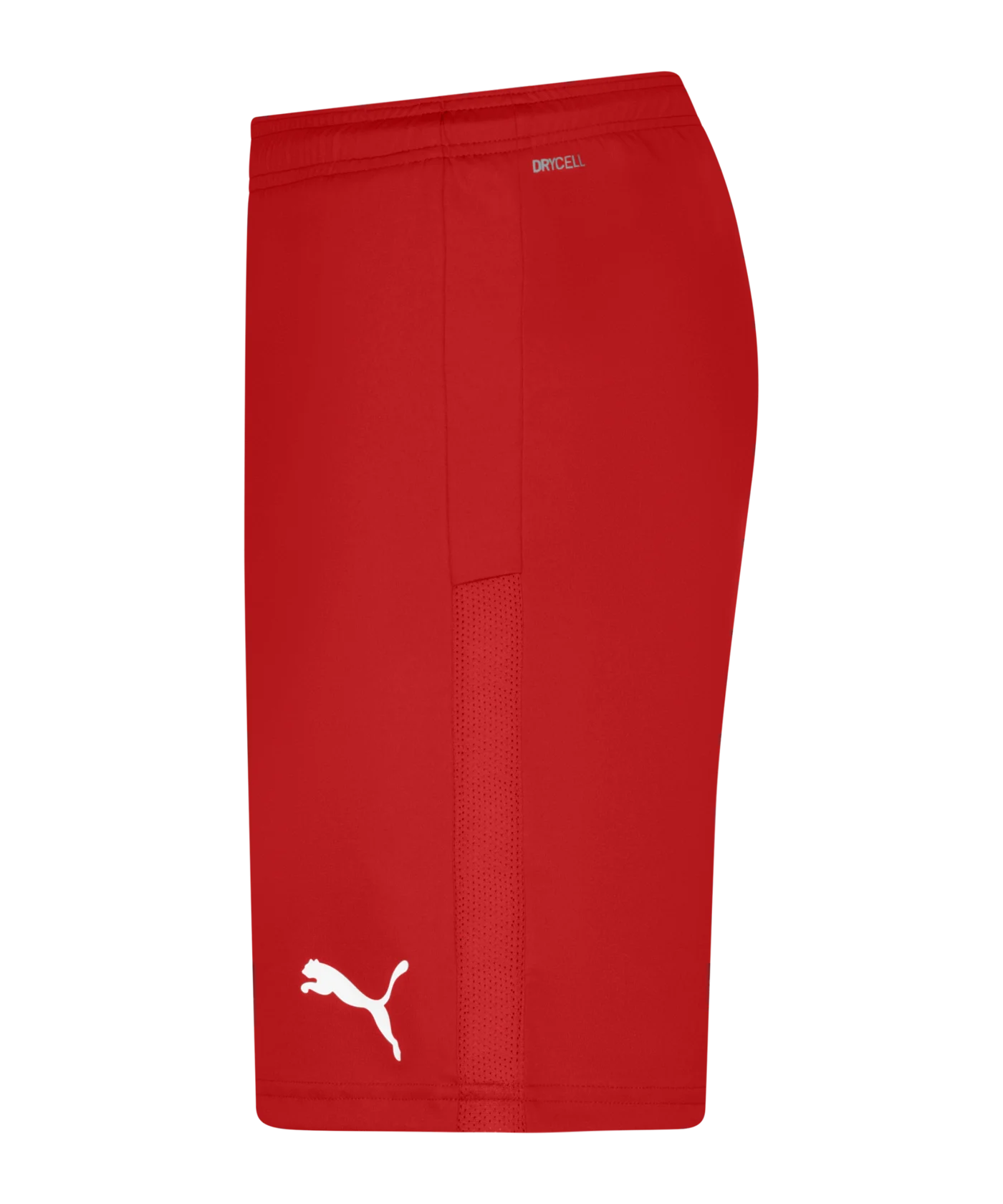PUMA teamGOAL 23 Knit Short Rot F01