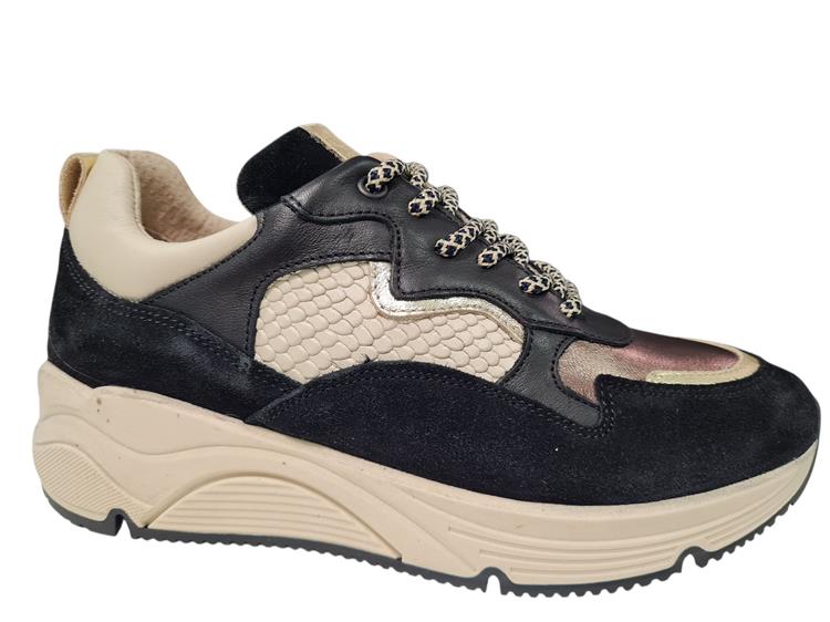 Bridge 24257204 Black Gold