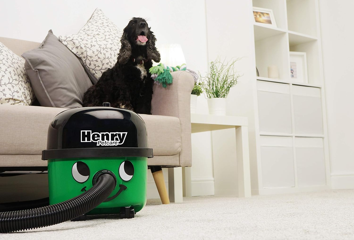 Numatic Henry Petcare HPC160-11, Staubsauger, grün, 620 W, 72 Dezibel